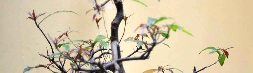 You Create Your Own Destiny